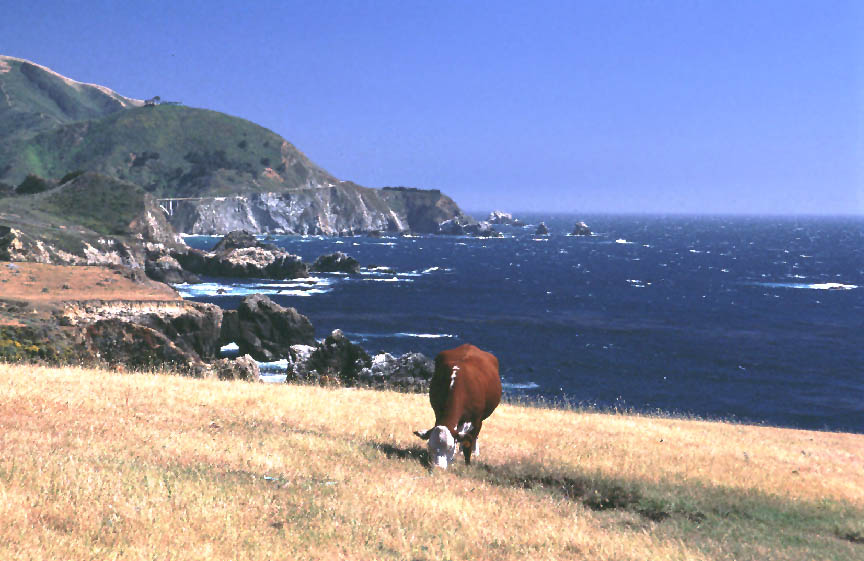 ca_big_sur_1.jpg (93573 bytes)