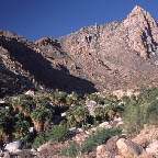 mexico_guadalupecanyon_1_small.jpg (17399 bytes)